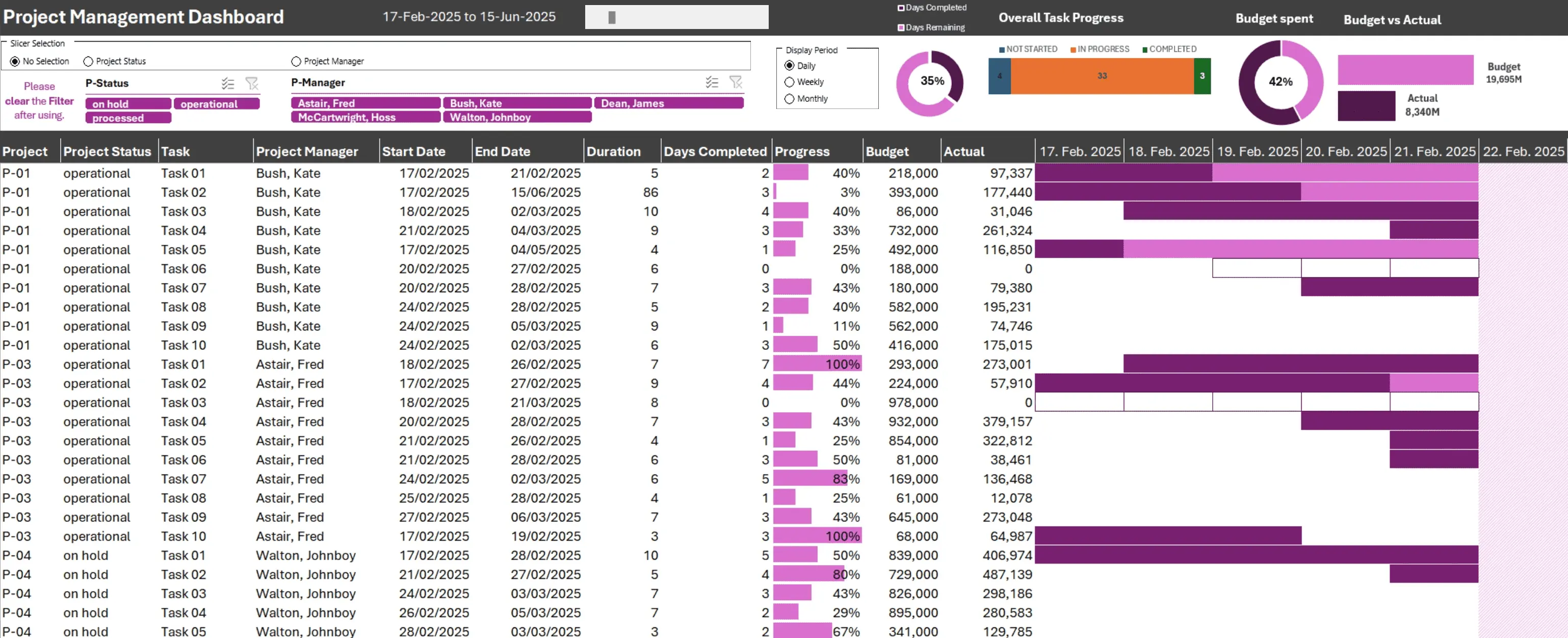Project Overview - Gantt Chart Snapshot
